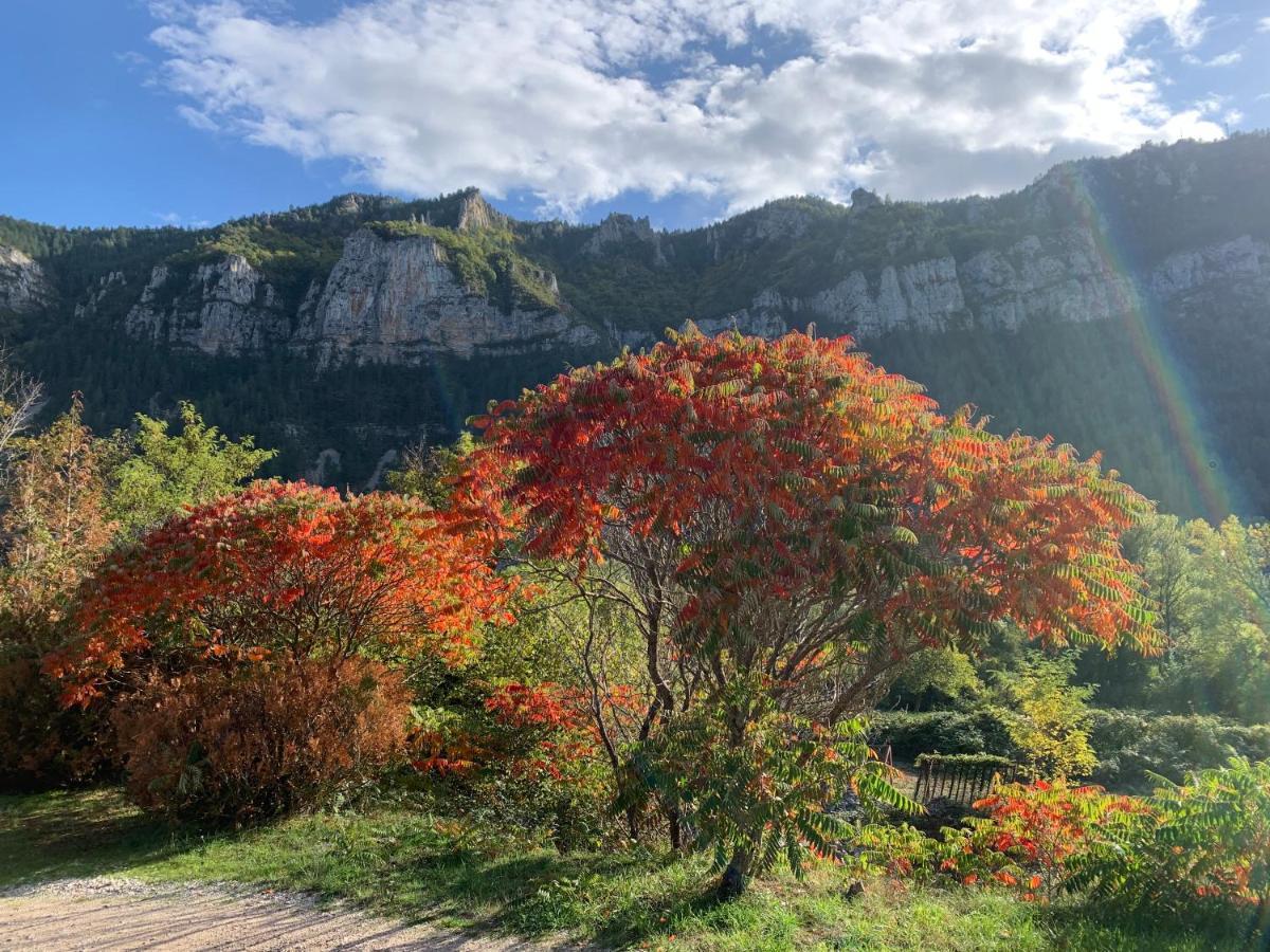 La Voutee 5 Epis Avec Bain Finlandais Prive Au Manoir Du Charme Gorges Du Tarn Bed & Breakfast Quezac  Dış mekan fotoğraf