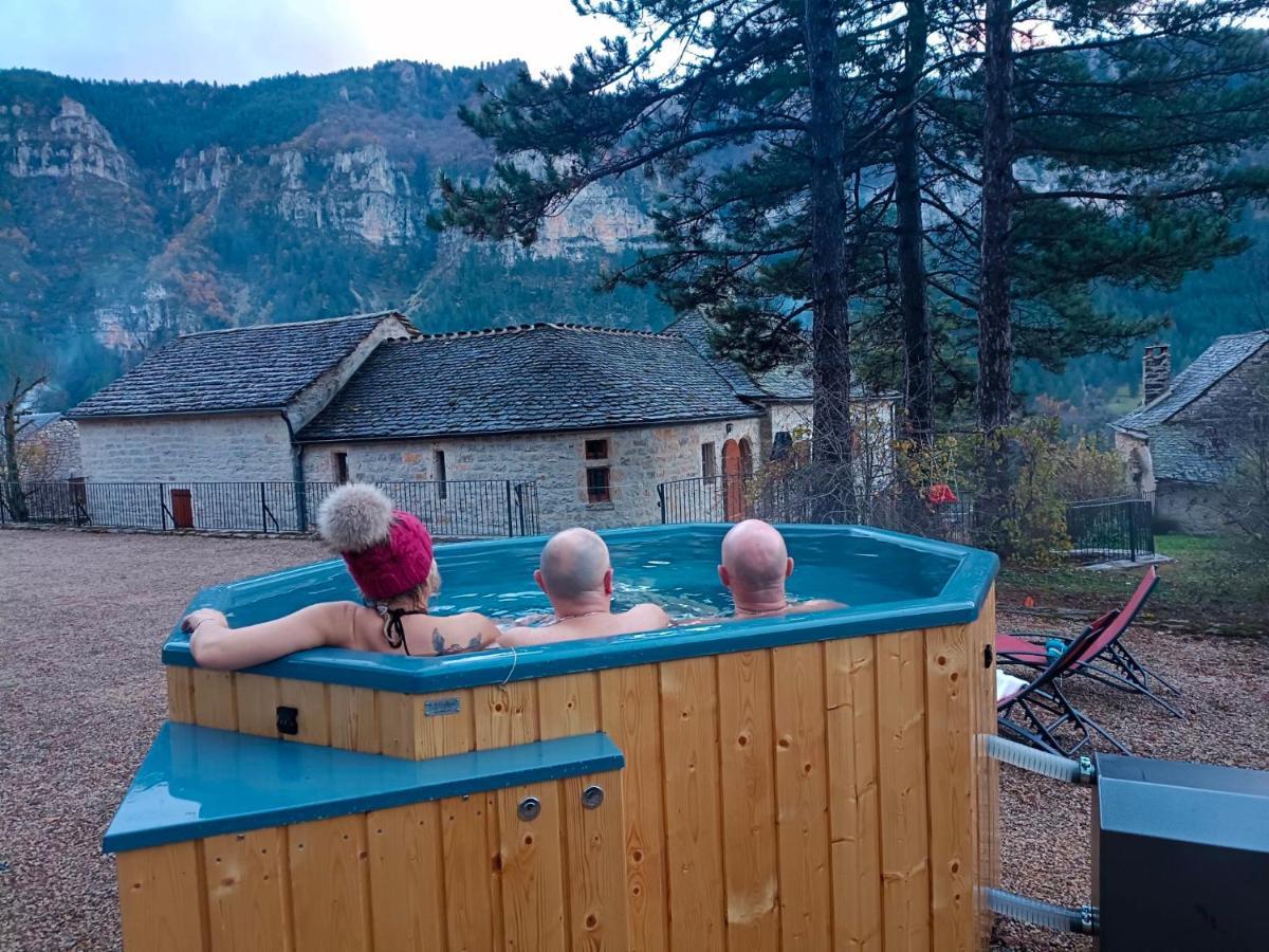 La Voutee 5 Epis Avec Bain Finlandais Prive Au Manoir Du Charme Gorges Du Tarn Bed & Breakfast Quezac  Dış mekan fotoğraf